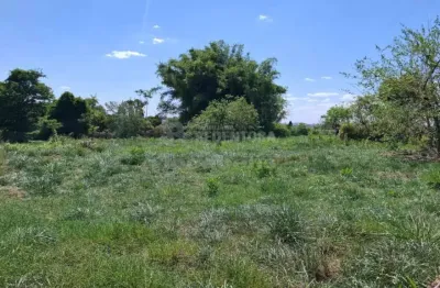 Terreno à venda no Centro, São José do Rio Preto 