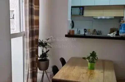 Apartamento com 2 quartos à venda no Jardim Marajó, São José do Rio Preto 
