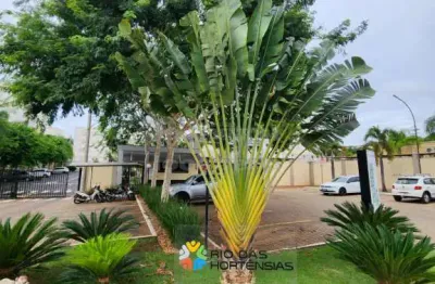 Apartamento com 2 quartos à venda no Jardins Rio Preto, São José do Rio Preto 