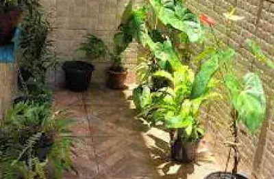 Casa em condomínio fechado com 3 quartos à venda na Rua Dr. Bezerra De Menezes, 175, Macuco, Santos