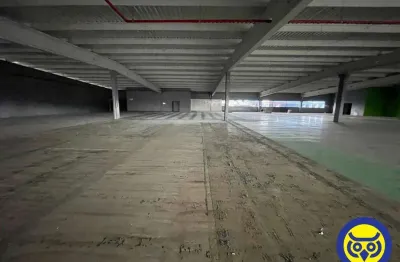 Ponto comercial para alugar na Avenida Caetano Silveira, Jardim Eldorado, Palhoça