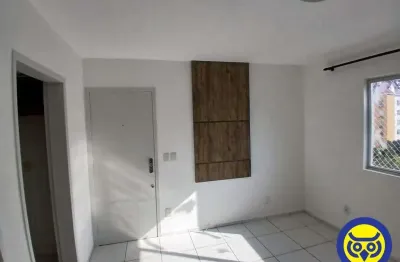 Apartamento com 2 quartos para alugar na Rua Acelon Pacheco da Costa, Itacorubi, Florianópolis