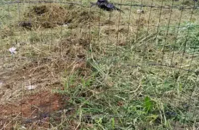 Terreno à venda no jardim santos dumont ii, mogi das cruzes  por r$ 100.000