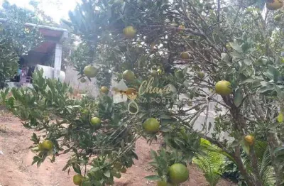 Chácara / sítio com 2 quartos à venda no Centro, Ibiúna 