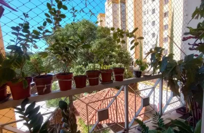 Apartamento para venda e locação, residencial campo limpo, bauru, sp