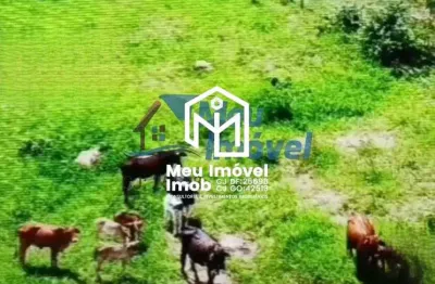 Chácara / sítio com 5 quartos à venda na Área Rural, S/n, Área Rural de Luziânia, Luziânia