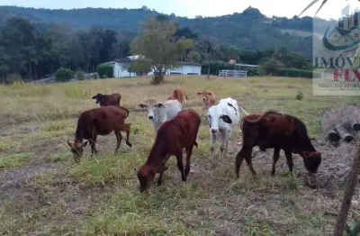 Sítio para venda em jarinu, chácaras de recreio da fazenda estância são paulo, 10 dormitórios, 2 suítes, 6 banheiros, 20 vagas