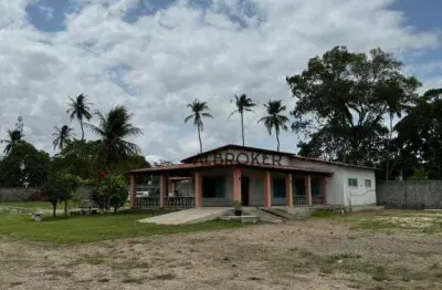 Br 116 próximo a ambev terreno, 4800 m² - venda por r$ 1.200.000 ou aluguel por r$ 9.000/mês - justiniano de serpa - aquiraz/ce