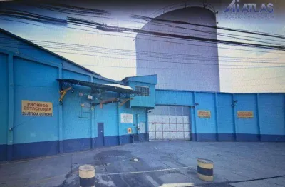 Terreno à venda, 4950 m² por r$ 22.000.000,00 - vila guilherme - são paulo/sp