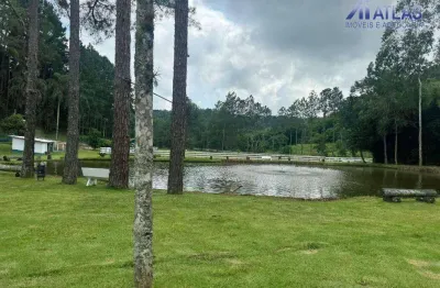 Chácara com 6 dormitórios à venda, 5600 m² por r$ 3.500.000,00 - chácara boa vista - santa isabel/sp