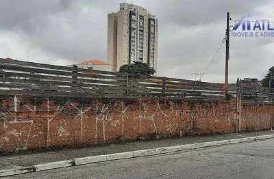 Terreno comercial à venda na Rua Cachoeira do Arari, Vila Guilherme, São Paulo