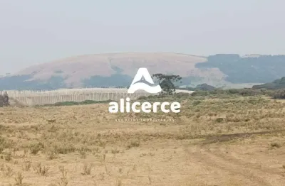 Oportunidade única – fazenda produtiva à venda em são joaquim/sc | exclusividade imobiliária alicerce ideal para cultivo, pecuária e investimentos com