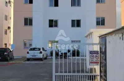 Apartamento à venda com 2 quartos , 46m² em são sebastião palhoça