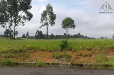 Terreno residencial à venda, jardim jóia, arujá - te0206.