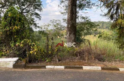 Terreno à venda, 6000 m² por r$ 600.000,00 - penhinha - arujá/sp