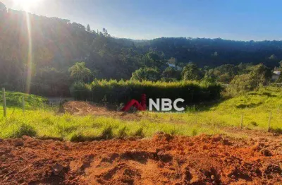 Terreno à venda, 1300 m² por r$ 1.300.000,00 - vista alegre - arujá/sp
