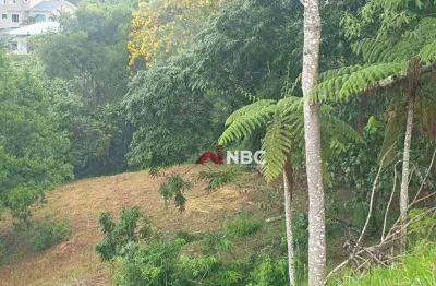 Terreno à venda, 1083 m² por r$ 350.000,00 - condomínio reserva ibirapitanga - santa isabel/sp