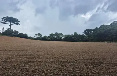 Chácara / sítio à venda na Rua Expedicionário Tomaz Stanislaski, S?N, Ipiranga, Araucária