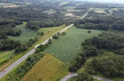 Terreno à venda na Rua Pr-423, Lagoa Suja, Araucária