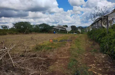 Terreno à venda, 40735 m² por r$ 1.500.000,00 - batatuba - piracaia/sp