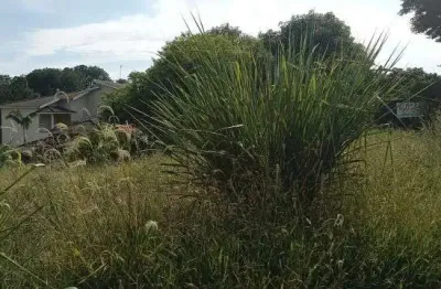 Terreno comercial de 550,77 m² na morada dos ipês ii em boituva-sp: venda ou locação!