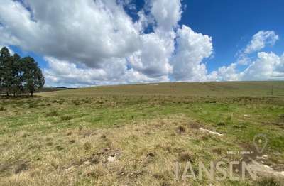 Fazenda à venda 81,6 alqueires (197 hectáres)tibagi, paraná