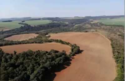 Fazenda com estrutura jaguariaiva, 331,54 hectáres , lavoura e pecuária