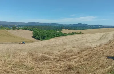 Área produtiva á venda 8,34 alqueires prudentópolis, paraná