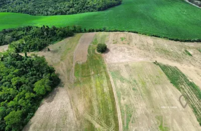 Área rural 17 alqueires próxima a rodovia  ponta grossa, paraná