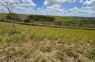 Terreno à venda no Centro, Paudalho 