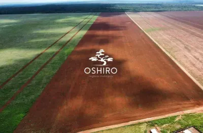 Chácara / sítio para alugar na Rod. Mt 130 -Marc, Zona Rural, Paranatinga