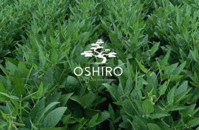 Chácara / sítio à venda na Rod. Mt 020 - Marc., Zona Rural, Paranatinga