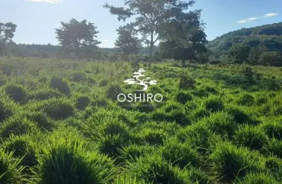 Chácara / sítio à venda na Rod. Mt 100 - Nil, Zona Rural, Torixoréu