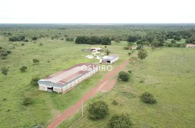 Chácara / sítio para alugar na Rod. Mt 100 - Marc., Zona Rural, São Félix do Araguaia