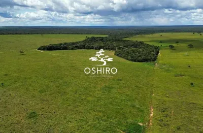 Faz. dupla aptidão em paranatinga - mt com pista de pouso - marc. cód. 13145