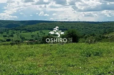 Chácara / sítio para alugar na Rod. Mt 110 Marc., Zona Rural, Campinápolis