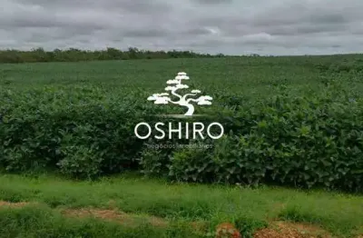 Chácara / sítio à venda na Rod. Br 158 -  Marc., Zona Rural, Ribeirão Cascalheira