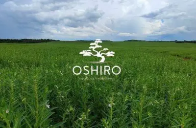 Chácara / sítio à venda na Rod. Br 158 -  Marc., Zona Rural, Água Boa