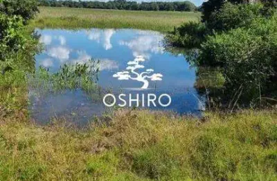 Chácara / sítio para alugar na Rod. Mt 100 - Nil, Zona Rural, Cocalinho