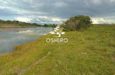 Chácara / sítio à venda na Rod. Mt 110 - Nil, Zona Rural, Novo São Joaquim