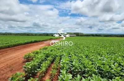 Fazenda região de agua boa - mt - mar - aceita imóveis em sp como parte pgto. cód. 11612