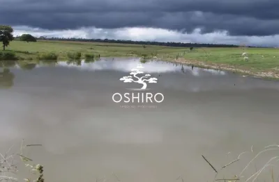 Chácara / sítio à venda na Rod. Go 330 - Nil, Zona Rural, Orizona