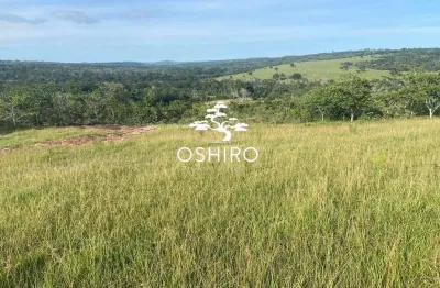 Chácara / sítio para alugar na Rod. Go 221 - Nil., Zona Rural, Caiapônia