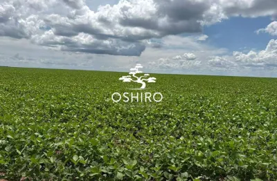 Chácara / sítio para alugar na Rod. Mt 129-mar., Zona Rural, Gaúcha do Norte