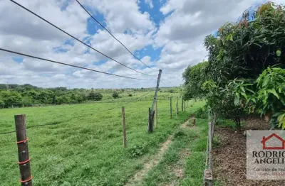 Chácara / sítio com 3 quartos à venda na avenida leopoldino alves cardoso, jardim fênix, penápolis, 72000 m2 por r$ 1.300.000