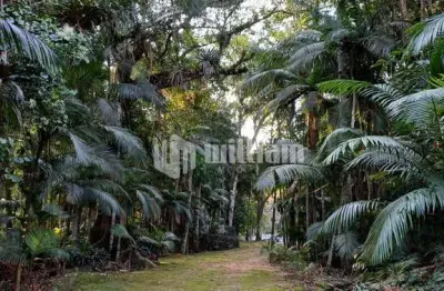 Chácara / sítio à venda no lageado alto, guabiruba  por r$ 528.000