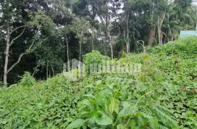 Terreno à venda no azambuja, brusque  por r$ 580.000