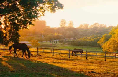 Terreno à venda, 500 m² por r$ 850.000,00 - helvétia - indaiatuba/sp