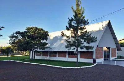Chácara à venda com 10,000m² na estrada da lontra distrito do espirito santo, região de londrina.