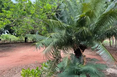 Chácara / sítio com 2 quartos à venda na Rua Francisco Borges de Oliveira, 10, Nova Esperança, Cuiabá
